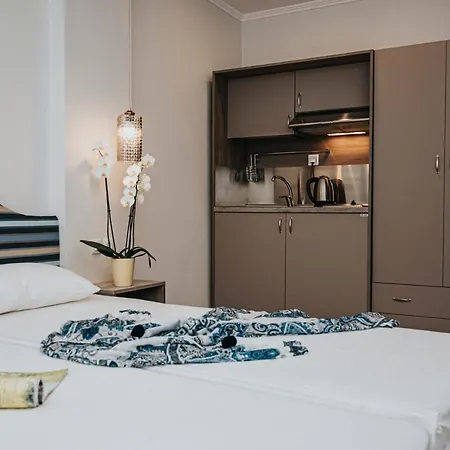 Parthenon Art Executive Wing Hotel *