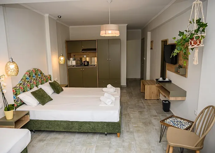 Hotel Parthenon Art Executive Wing *