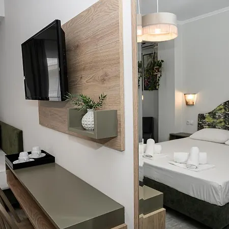 Parthenon Art Executive Wing Hotel *