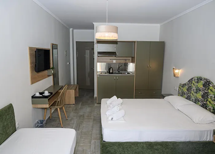Parthenon Art Executive Wing Hotel *